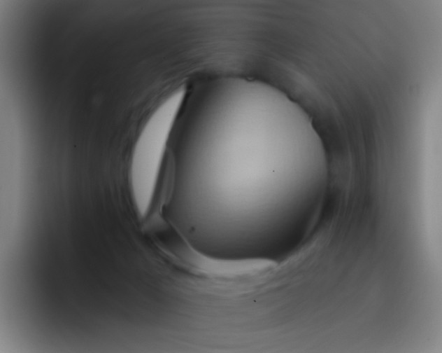 X0000093220029200710101353