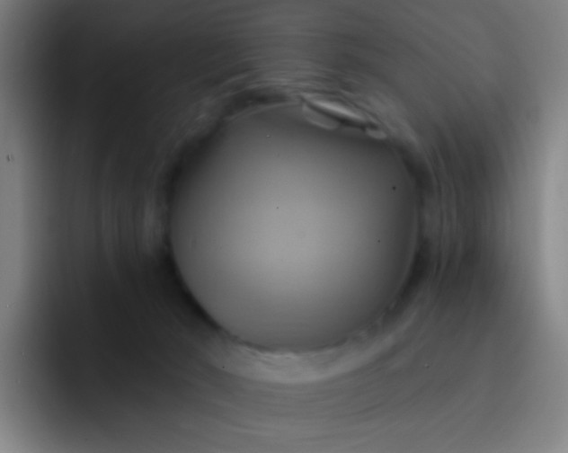 X0000093220030200710101353