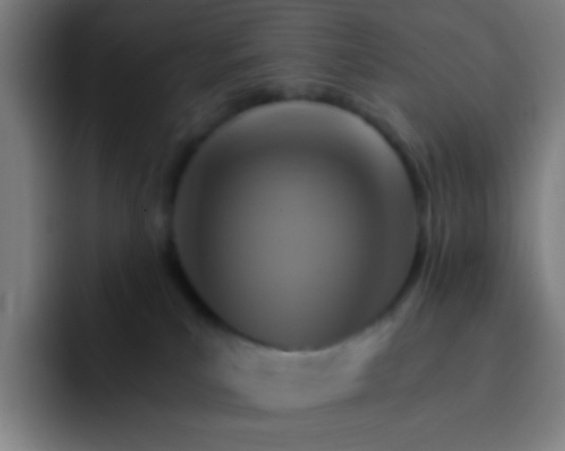 X0000093220039200710101353