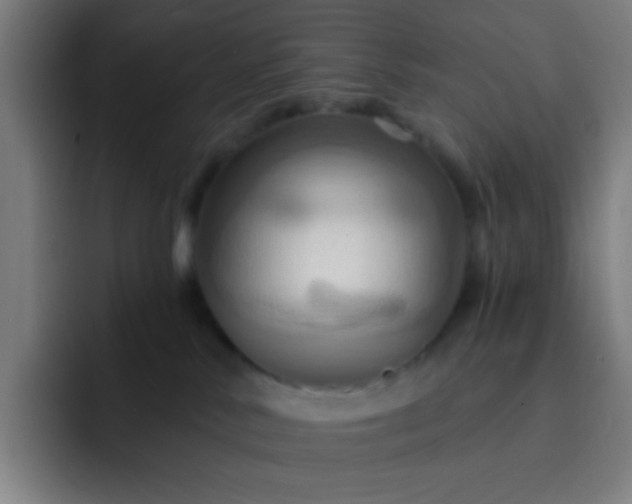 X0000093220042200710101353