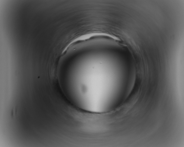 X0000093220044200710101353