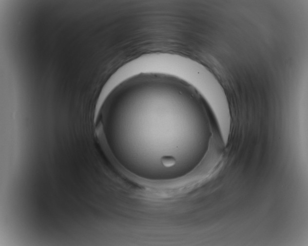 X0000093220045200710101353