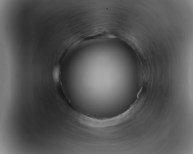 X0000093220047200710101353