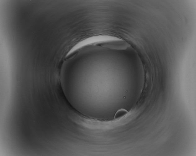 X0000093220048200710101353