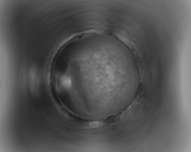 X0000093220050200710101352