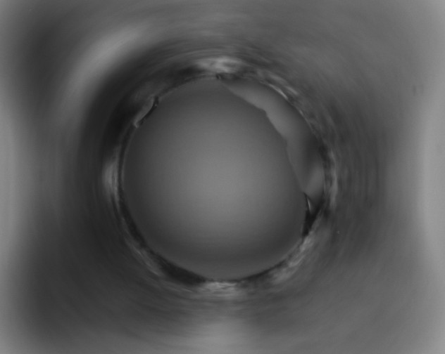 X0000093220052200710101352