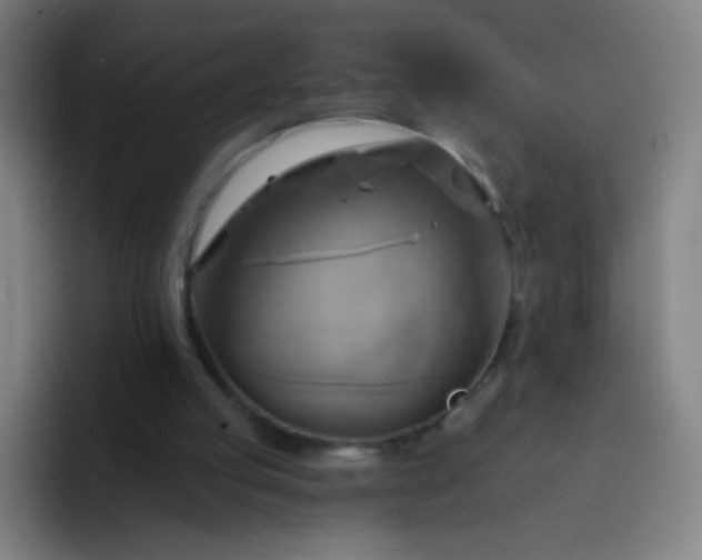 X0000093220053200710101352