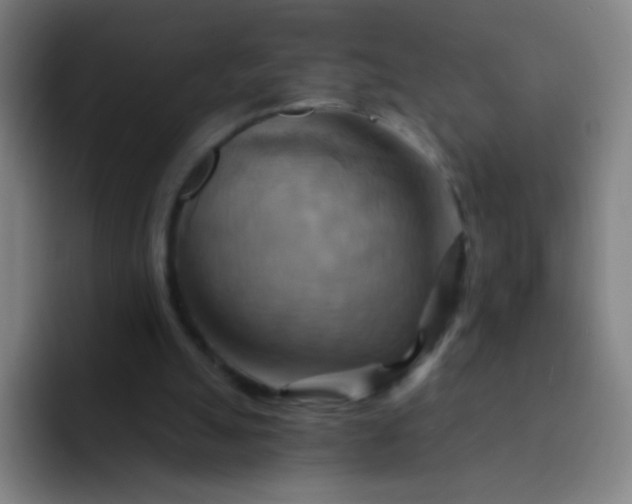 X0000093220055200710101352