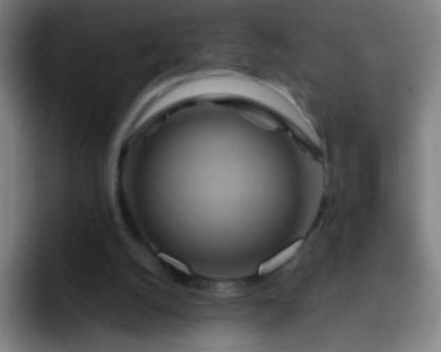 X0000093220056200710101352