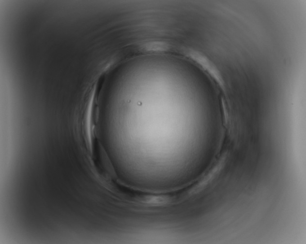 X0000093220057200710101352