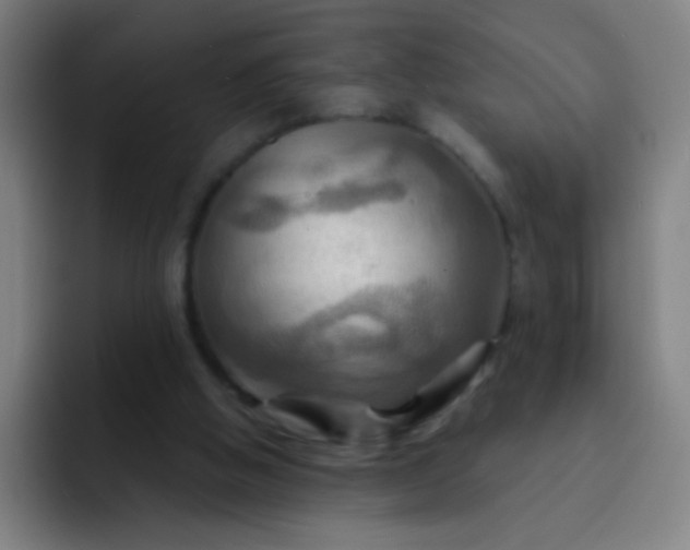 X0000093220058200710101352