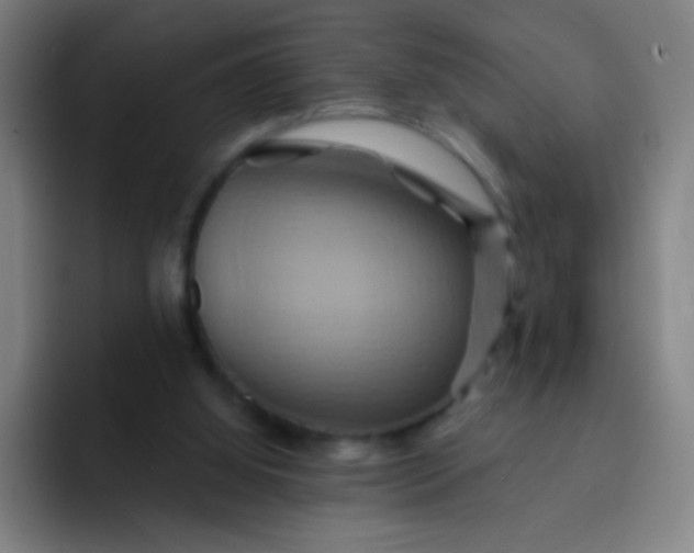 X0000093220060200710101353