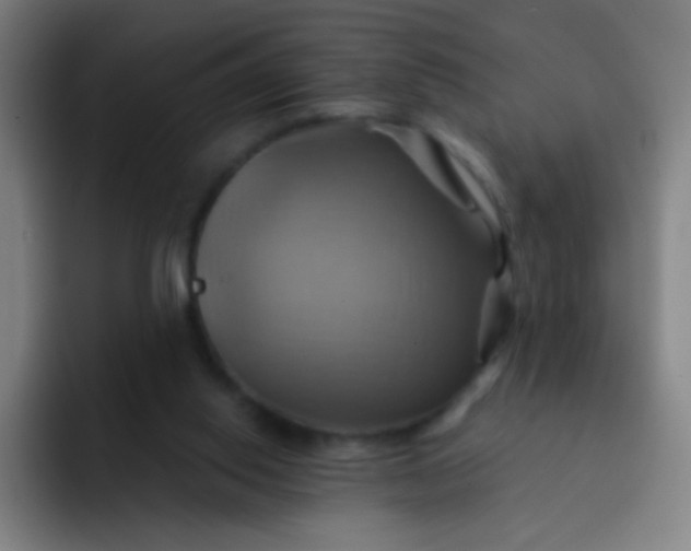 X0000093220062200710101353