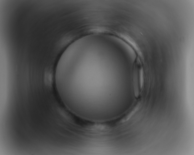 X0000093220063200710101353