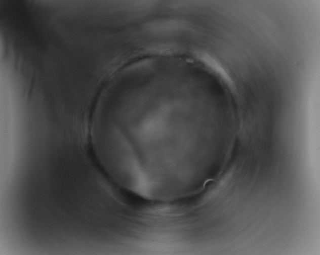 X0000093220065200710101353