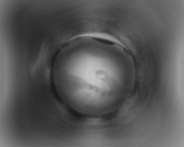 X0000093220066200710101353