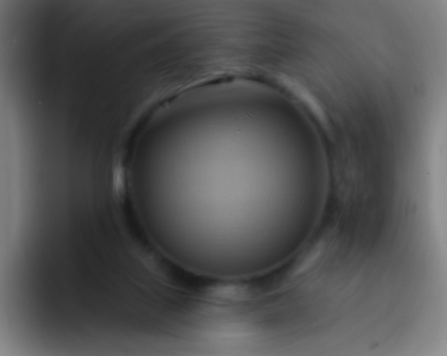 X0000093220067200710101353