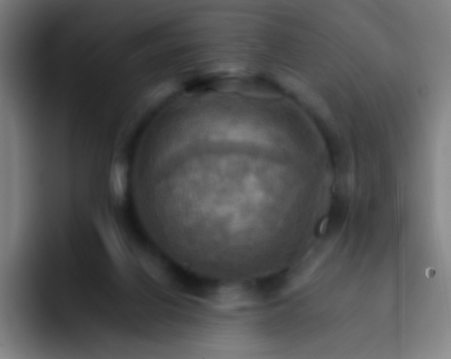 X0000093220070200710101353