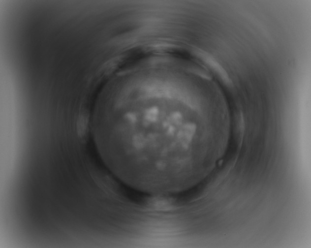 X0000093220073200710101353