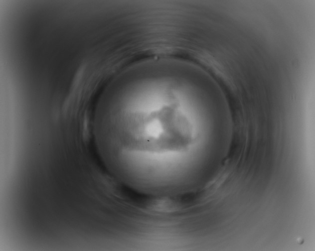 X0000093220074200710101353