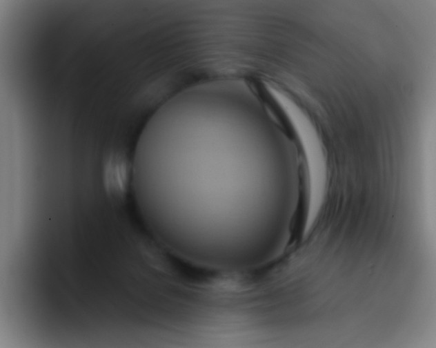 X0000093220076200710101353