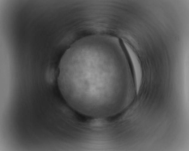 X0000093220077200710101353