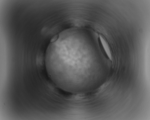 X0000093220078200710101353