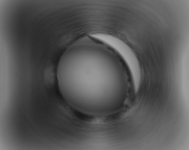 X0000093220080200710101353