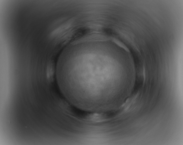 X0000093220082200710101353