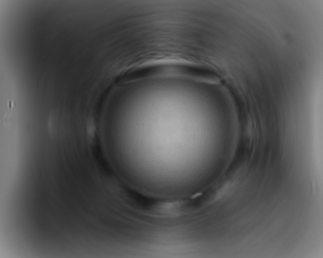 X0000093220084200710101353