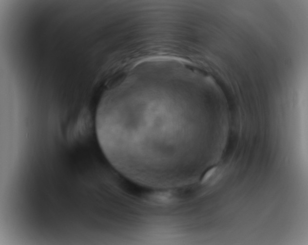 X0000093220086200710101353