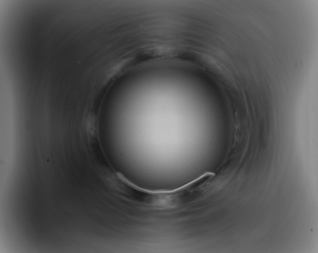 X0000093220096200710101353