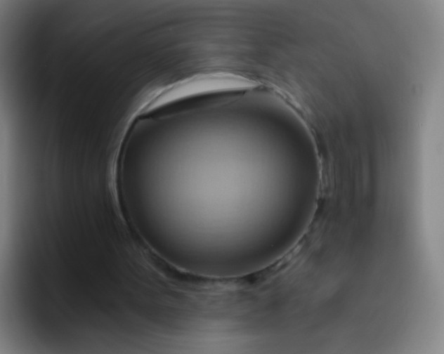 X0000093220099200710101352