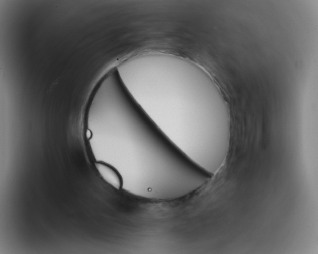 X0000093220100200710101352