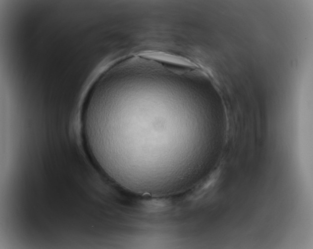 X0000093220102200710101352