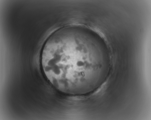 X0000093220103200710101352