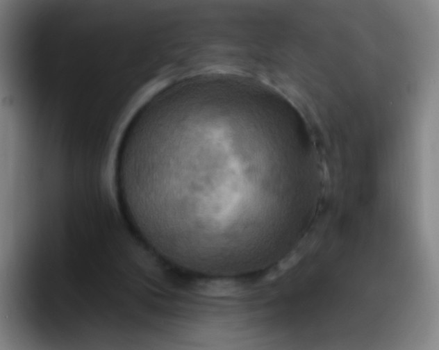 X0000093220104200710101352