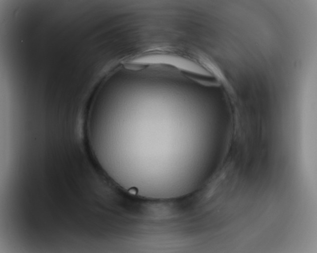 X0000093220106200710101352