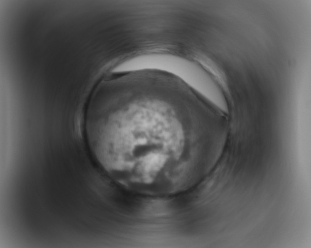 X0000093220107200710101352