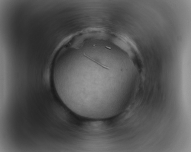 X0000093220108200710101352