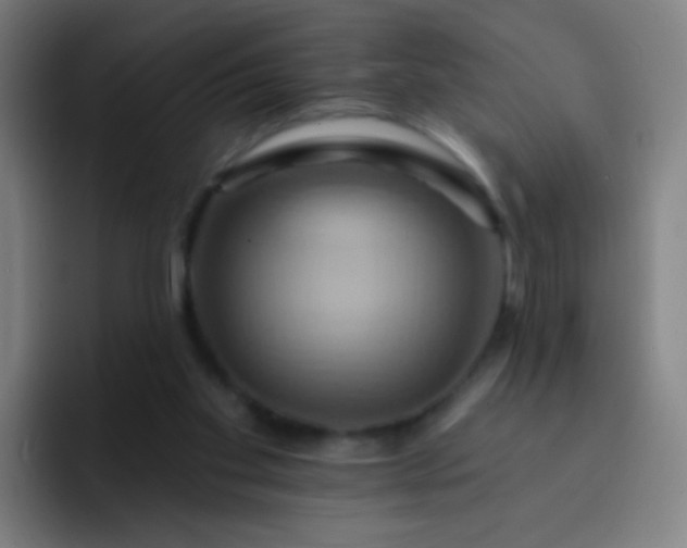 X0000093220109200710101352