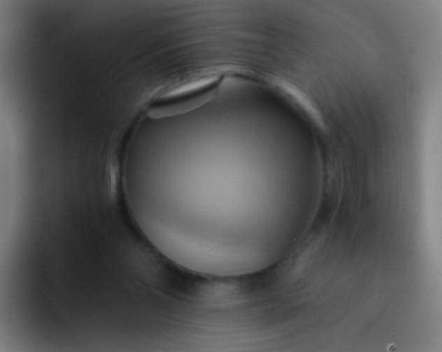 X0000093220110200710101352