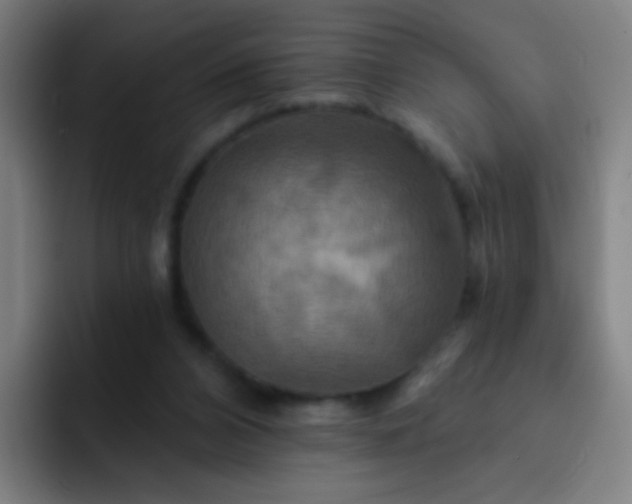 X0000093220112200710101352