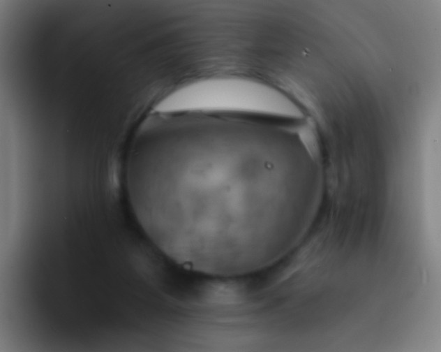 X0000093220115200710101352