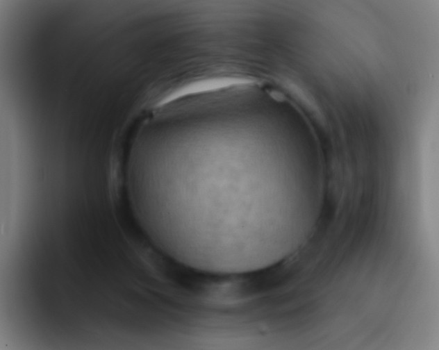 X0000093220116200710101352