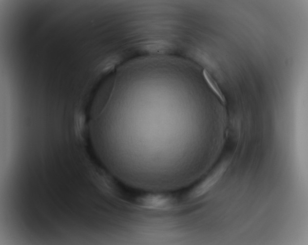 X0000093220117200710101352