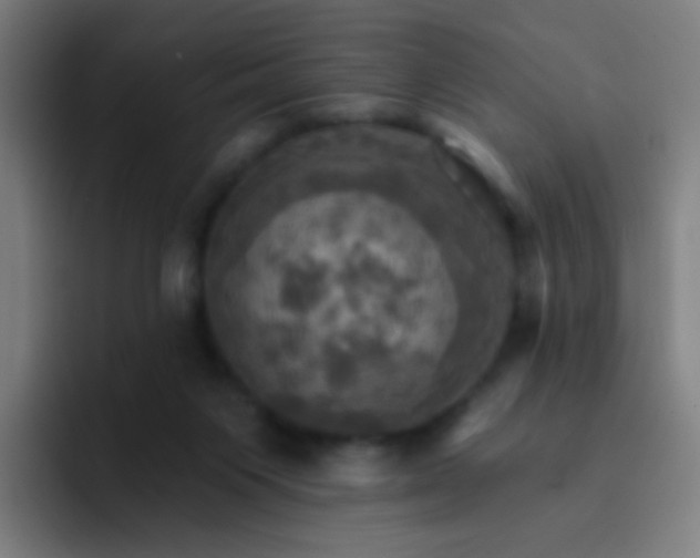 X0000093220119200710101352