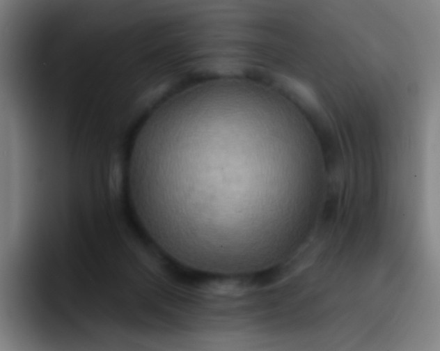 X0000093220120200710101352