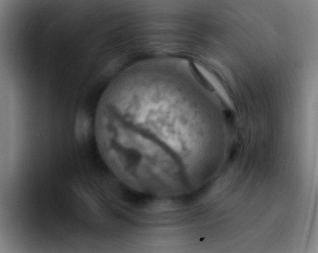 X0000093220123200710101352