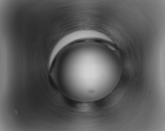 X0000093220129200710101352